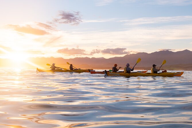 Sunset Evening Kayaking Tour - Kaikoura - Why Kaikōura at Sunset Is Such a Good Kayak Match