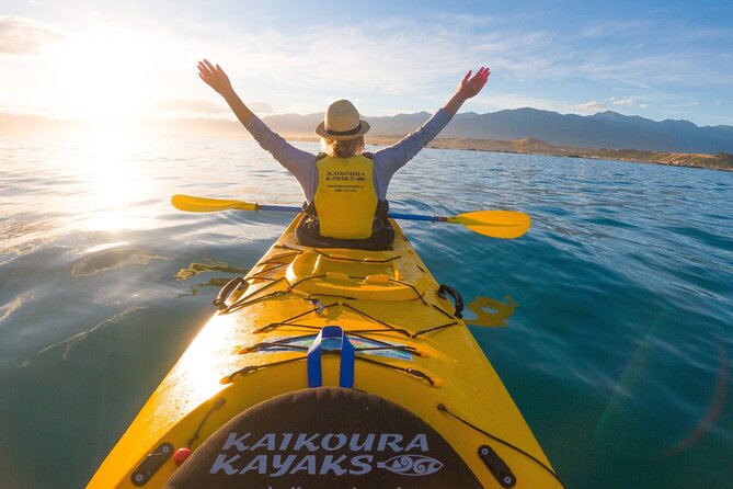Sunset Evening Kayaking Tour - Kaikoura - Meeting at Kaikoura Kayaks: Getting Set Up Fast