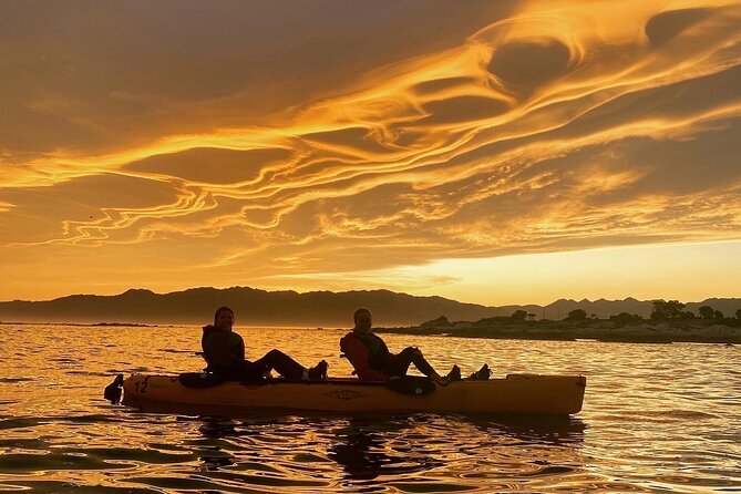 Sunset Kayak tour in Kaikoura - Quick highlights