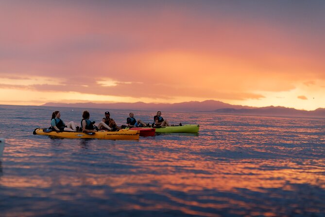 Sunset Kayak tour in Kaikoura - Fur seals, penguins, albatross, and dolphins: what to watch for