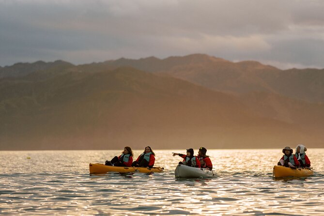 Sunset Kayak tour in Kaikoura - Comfort and fit: who this pedal kayak tour suits best