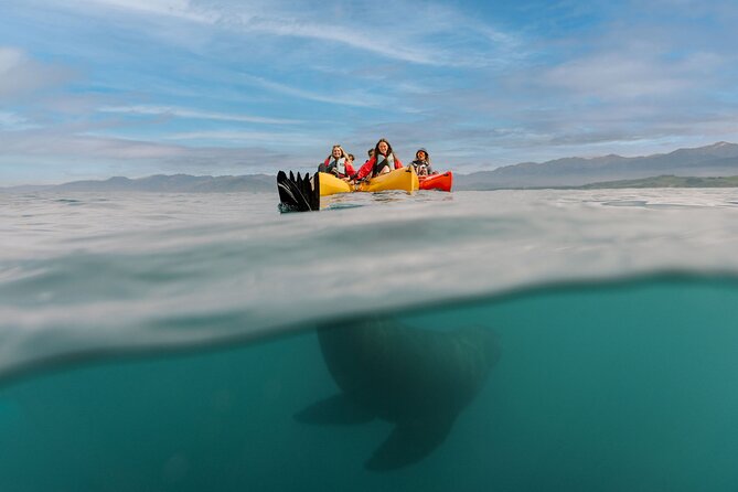 Sunset Kayak tour in Kaikoura - Price and value: what you are really paying for at about €71.53