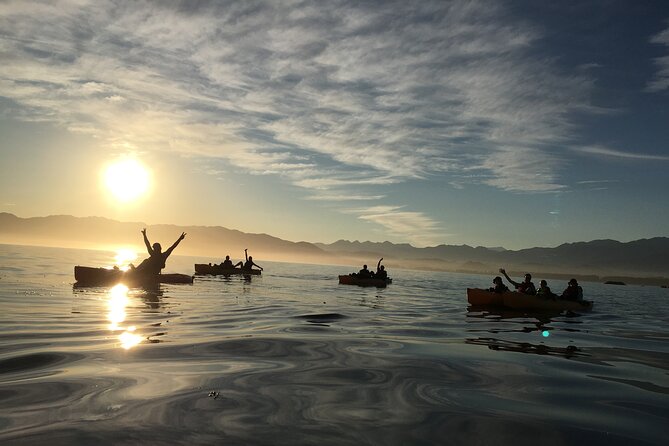 Sunset Kayak tour in Kaikoura - When you should book this Kaikoura sunset kayak