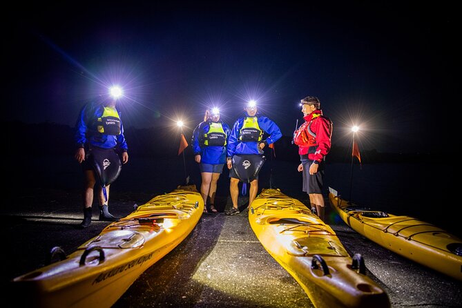 Sunset kayak tour to Rangitoto Island - Price and value: what $152.04 buys you in real terms