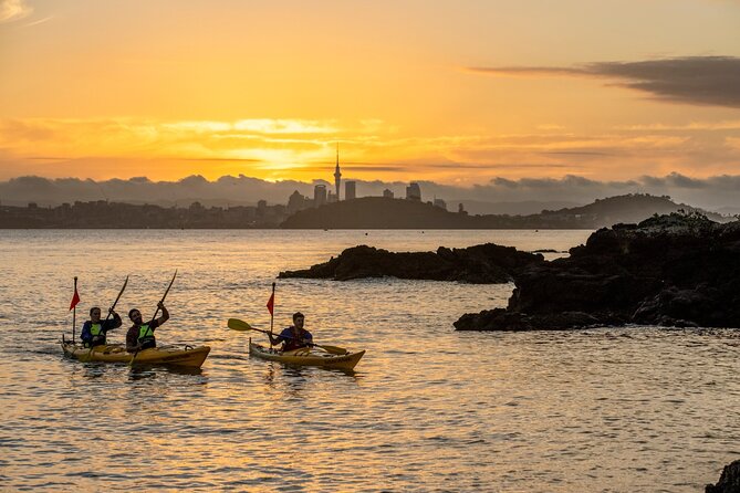 Sunset kayak tour to Rangitoto Island - Paddle across the Waitemata Harbour: effort, group pace, and equipment you get