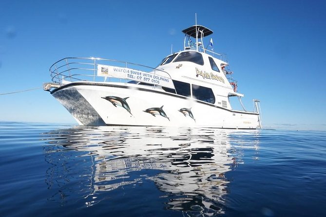 Swim With Wild Dolphins in Tauranga - Tauranga’s Dolphin Day: What Makes This Cruise Worth Your Time