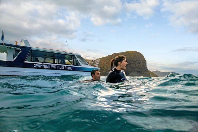 Swimming with Wild Dolphins in Akaroa - Key Things to Know Before You Go