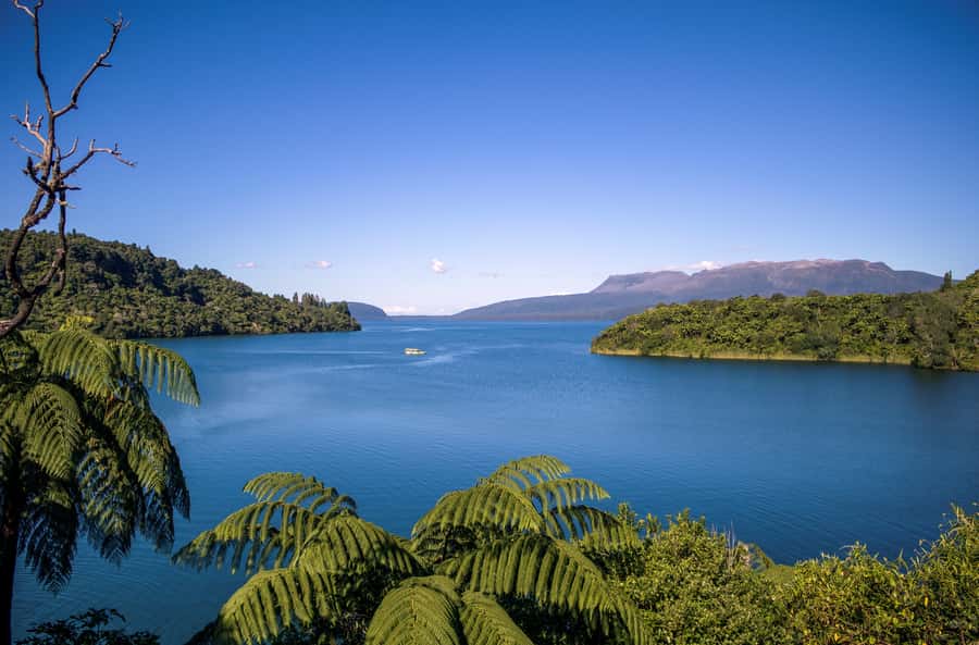 Tarawera and Lakes 2-Hour Duck Eco Tour - Key Things I’d Put on Your Radar