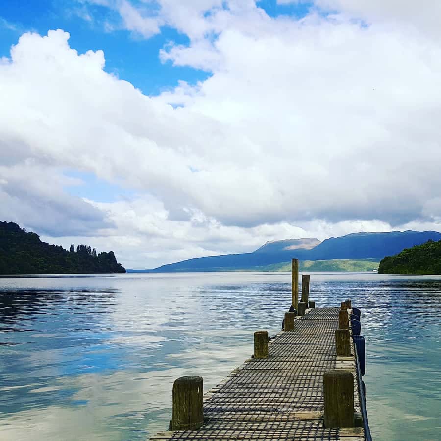 Tarawera and Lakes 2-Hour Duck Eco Tour - Rotokakahi (Green Lake) and Tikitapu (Blue Lake) Color Lessons