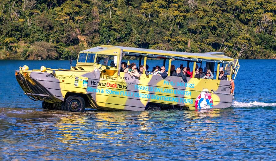 Tarawera and Lakes 2-Hour Duck Eco Tour - The ConDUCKtor Commentary: History, Ecology, Culture, and Humor