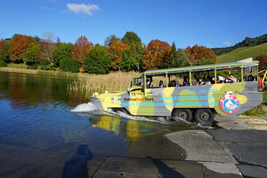 Tarawera and Lakes 2-Hour Duck Eco Tour - From 1241 Fenton Street to the Lakes District