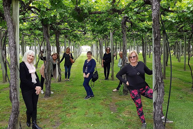 Taste the Valley Wine Tour in Marlborough with Wine Tasting - Who should book this tour, and who might want a different option