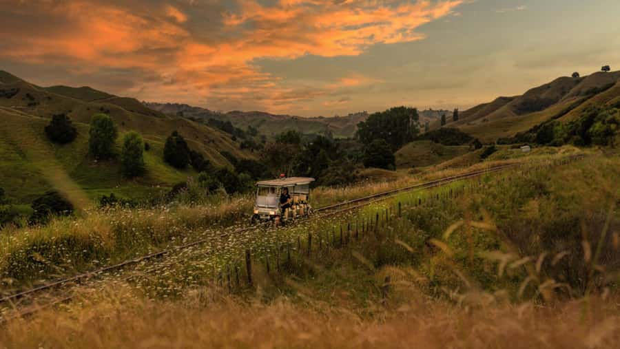 Taumarunui: Forgotten World Rail Cart Tour with Lunch - Key Points You Should Know Before You Go