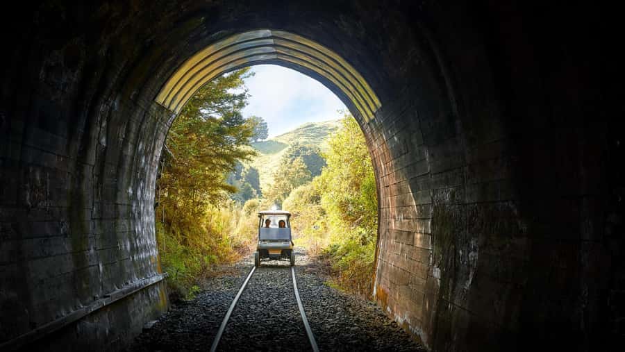 Taumarunui: Forgotten World Rail Cart Tour with Lunch - Taumarunui Check-In: Getting to Okahukura Without Stress