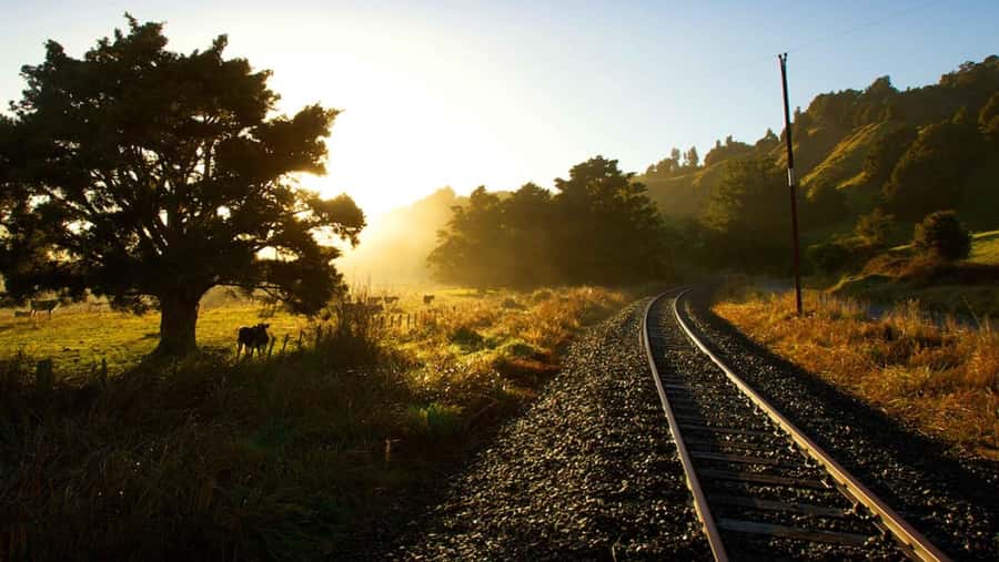 Taumarunui: Forgotten World Rail Cart Tour with Lunch - Brick Tunnels: The Engineering and the Atmosphere