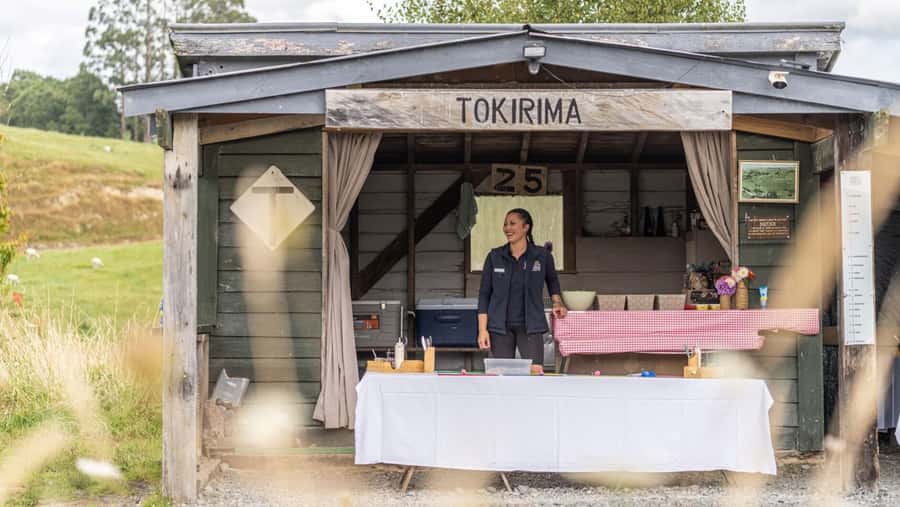 Taumarunui: Forgotten World Rail Cart Tour with Lunch - What to Bring, What to Wear, and Small Rules That Matter