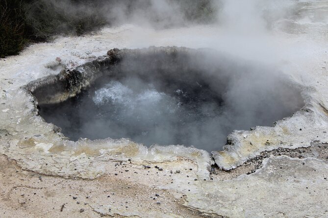 Taupo Day Trip with Orakei Korako or Waiotapu from Rotorua - Lake Taupo: about 1 hour for lunch and a quick lakeside reset