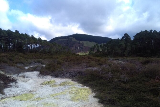 Taupo Day Trip with Orakei Korako or Waiotapu from Rotorua - Price and value: what your $181.21 covers, and what it doesn’t