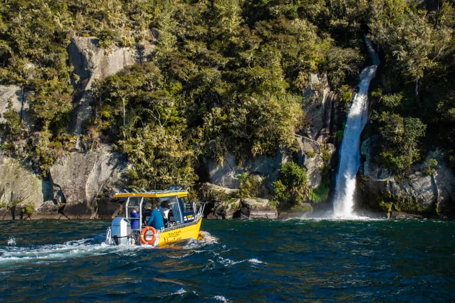 Taupo: Lake Taupo Western Bays Catamaran Tour with Bush Walk - Key takeaways before you go
