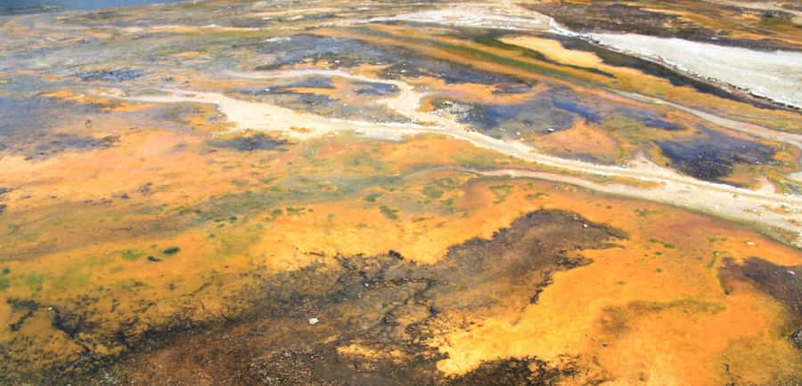 Taupo: Orakei Korako Geothermal Park and Cave Entry Ticket - Who should book, and who should rethink
