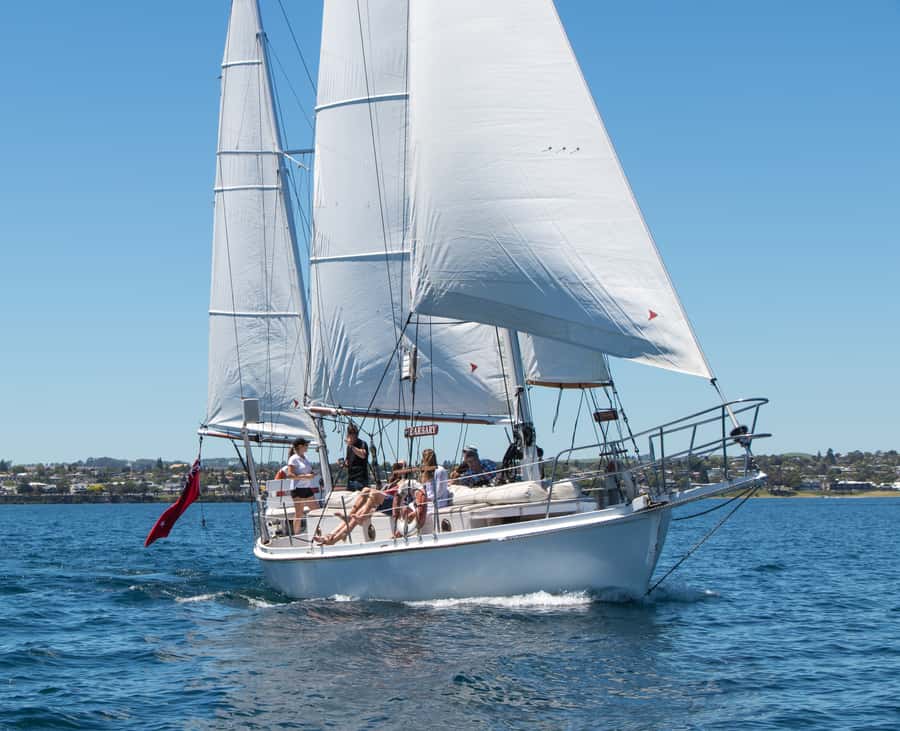 Taupō: Sail Barbary Eco Sailing to the Maori Rock Carvings - If rain hits: the all-weather catamaran option