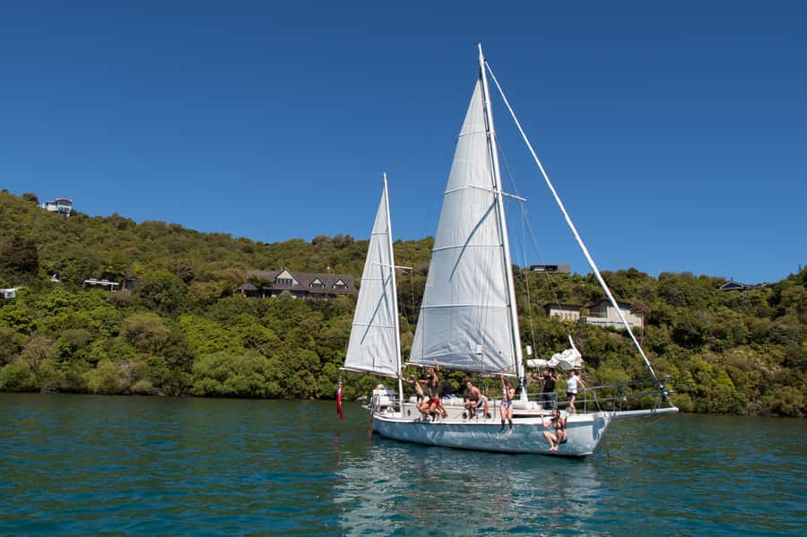 Taupō: Sail Barbary Eco Sailing to the Maori Rock Carvings - Price and value: how $35 makes sense for what you get