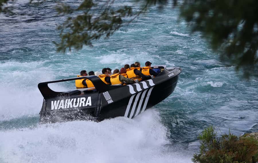 Taupo: Waikato River Jetboating Adventure - Wildlife and geothermal hints at the river edge