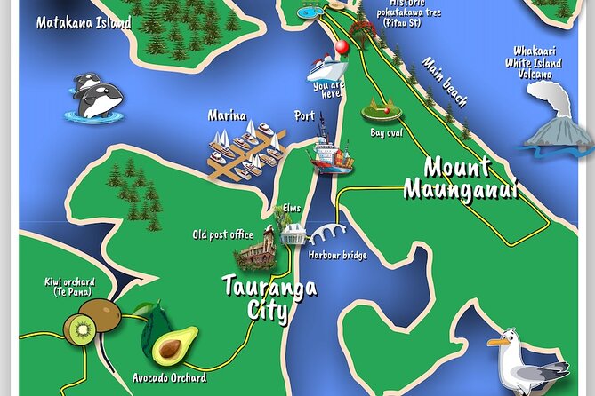 TAURANGA City & Scenic Sightseeing 2-hour Local Bus Tour - Key Things I’d Prioritize on This Tauranga Bus Tour
