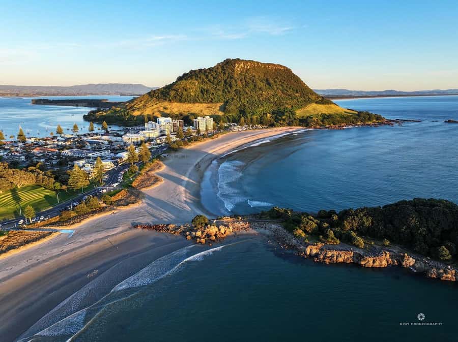 Tauranga City & Scenic Sightseeing 2-hour Local Tour - The route: Mount Maunganui first, Harbour Bridge second