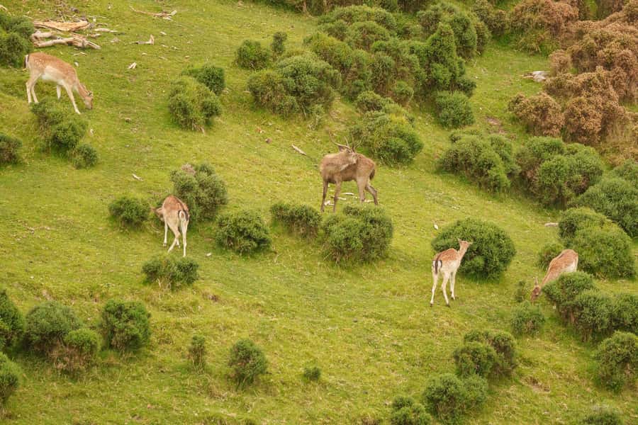 Tauranga City & Scenic Sightseeing 2-hour Local Tour - One stop at the Scenic Lookout, Coromandel and White Island views