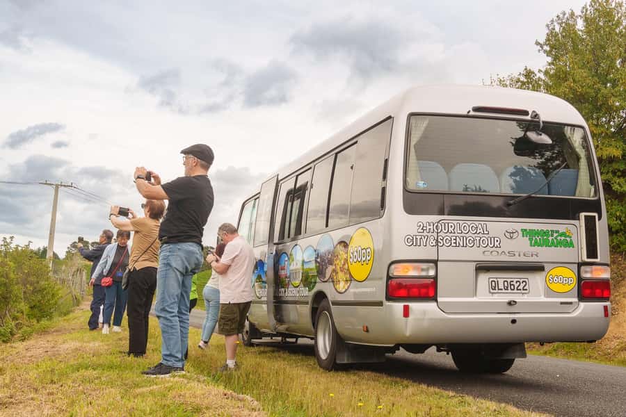 Tauranga City & Scenic Sightseeing 2-hour Local Tour - Meeting the bus at Tauranga Port without stress