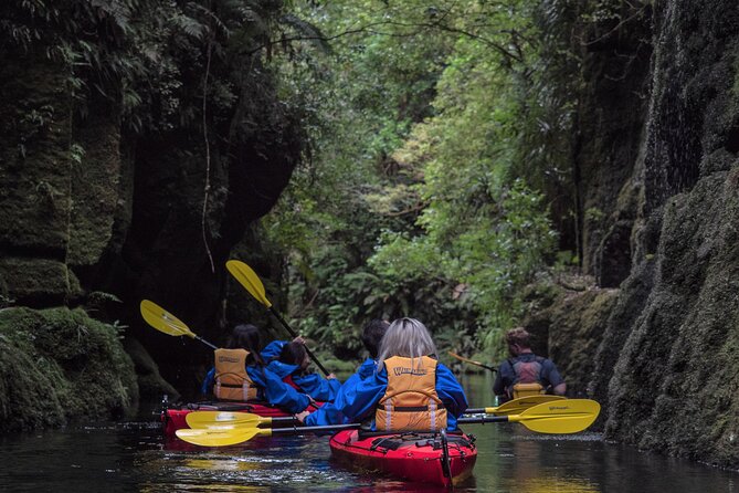 Tauranga Daytime Scenic Lake McLaren Tour - Key Points to Know Before You Go