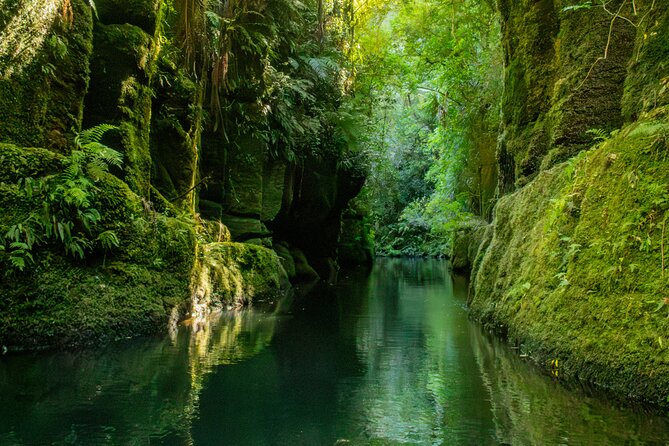 Tauranga Daytime Scenic Lake McLaren Tour - Lake McLaren and Mangapapa Canyon: calm water with a wow-factor