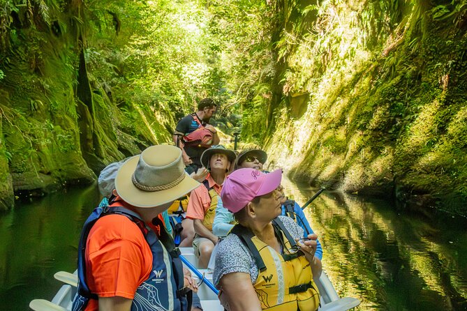 Tauranga Daytime Scenic Lake McLaren Tour - Waimarino Adventure Park start: gear, briefing, then you’re on the water
