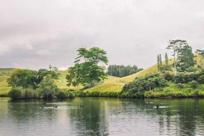 Tauranga Daytime Scenic Lake McLaren Tour - The paddle route: shoreline birds, streams, then Mangapapa Canyon