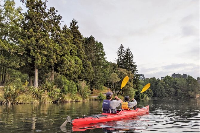 Tauranga Daytime Scenic Lake McLaren Tour - The guides: what you gain beyond the view