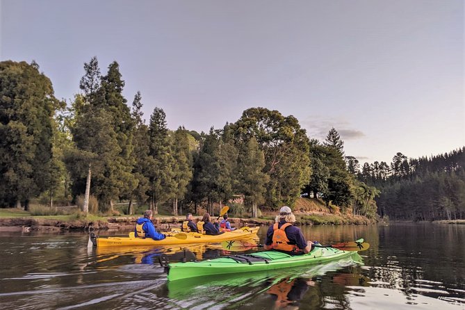 Tauranga: Evening Glowworm Kayak Tour - A 3-hour Tauranga night outing that starts with a real tasting
