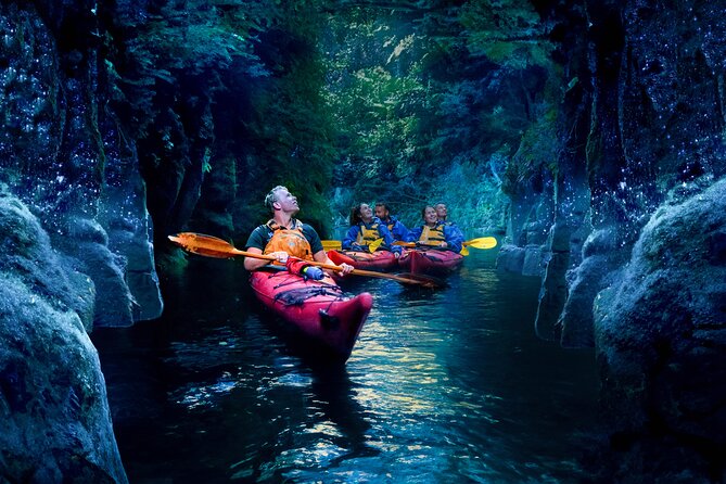 Tauranga: Evening Glowworm Kayak Tour - Sliding from dusk to the canyon walls of Mangapapa