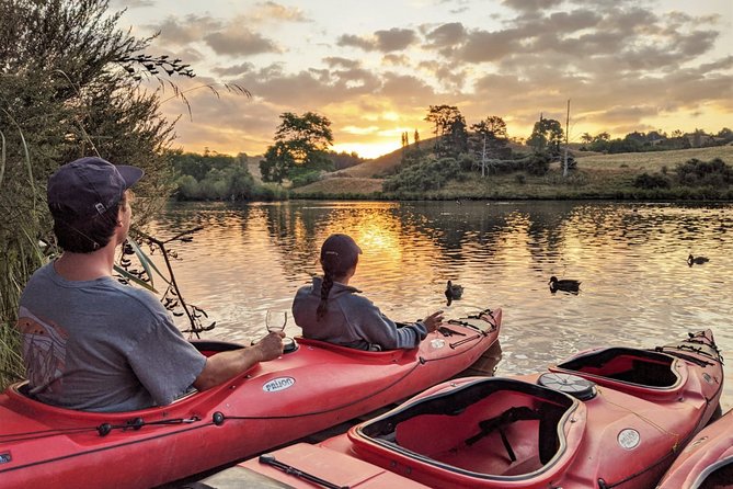 Tauranga: Evening Glowworm Kayak Tour - Glowworms at night, then the stars take over