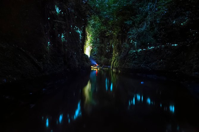 Tauranga: Evening Glowworm Kayak Tour - FAQ