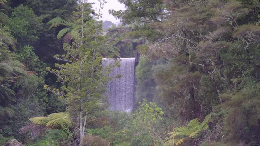 Tauranga: Kiwifruit Destination and Sights Shore Excursion - Setting Off From the Port of Tauranga, and Why the Start Matters