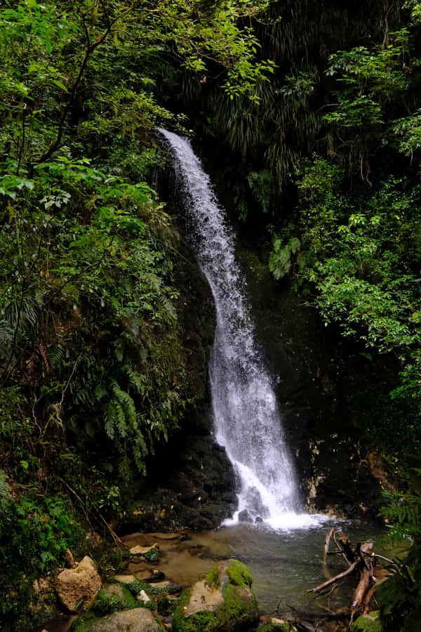 Tauranga: Kiwifruit Destination and Sights Shore Excursion - McLaren Falls Park: Lake Views, Waterfalls, and an Easy Walk Choice