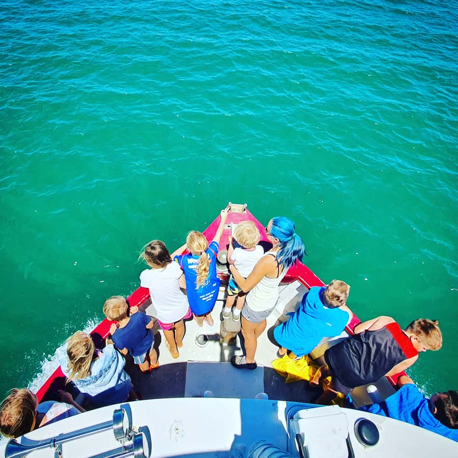 Tauranga: Mount Maunganui Harbour Sightseeing Cruise - Key things I’d circle before you go