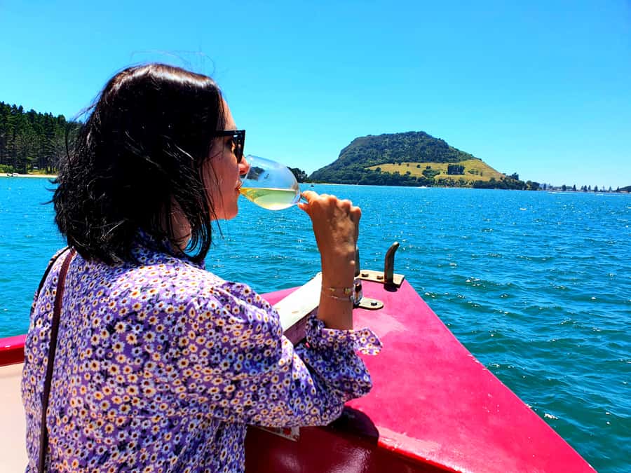 Tauranga: Mount Maunganui Harbour Sightseeing Cruise - Getting those Mount Maunganui views that feel “new”