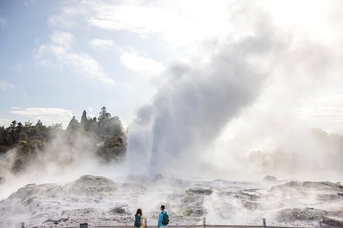Tauranga Private Excursion: Rotorua -Te Puia-Geysers & Kiwi's - Key highlights worth marking in your day