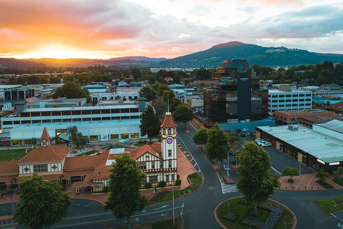 Tauranga Private Excursion: Rotorua -Te Puia-Geysers & Kiwi's - Kiwi House viewing: seeing New Zealand’s icon on your terms