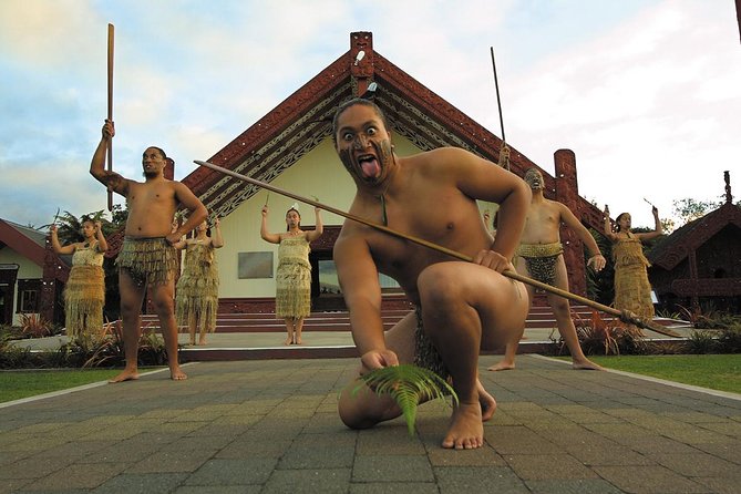 Tauranga Private Excursion: Rotorua -Te Puia-Geysers & Kiwi's - Price and value: is this worth NZ$608.16 per group?