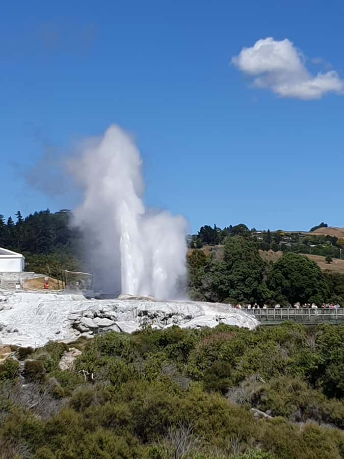 Tauranga: Rotorua Redwoods Tour & Maori Village Experience - Mount Maunganui Coast Stop and the Kiwifruit Orchard Break