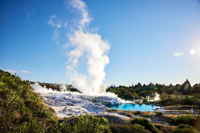 Tauranga Shore Excursion: Rotorua Highlights - Rotorua lunch break: plan for your own meal time