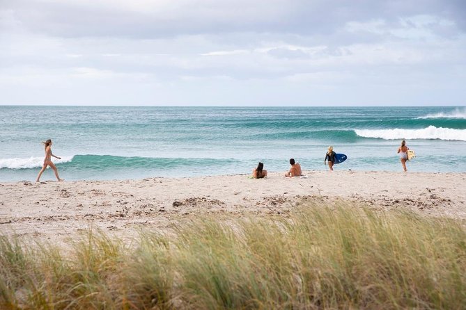 Tauranga Shore Excursion: Top Half Day Curated Highlights Tour - From the Port to Mt Maunganui’s Famous Mauao Dome